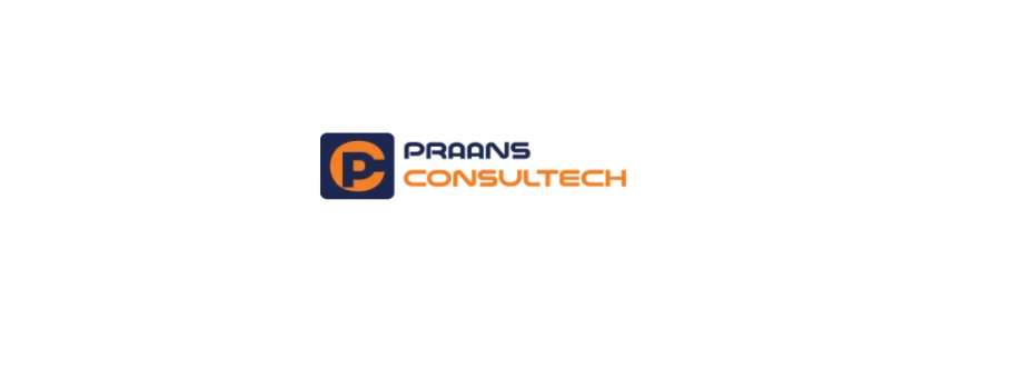 praansconsultech Cover Image