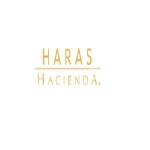 HARAS HACIENDA Profile Picture