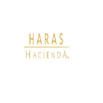 HARAS HACIENDA Profile Picture