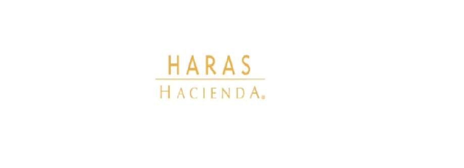 HARAS HACIENDA Cover Image