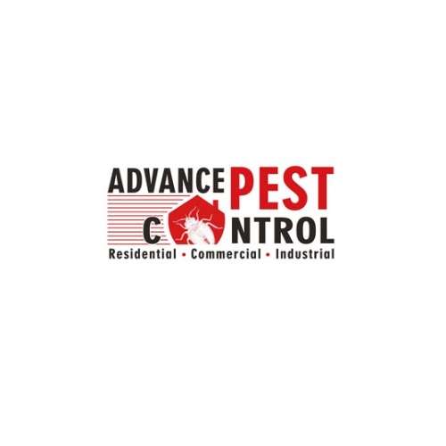 Advance Pest Control Profile Picture