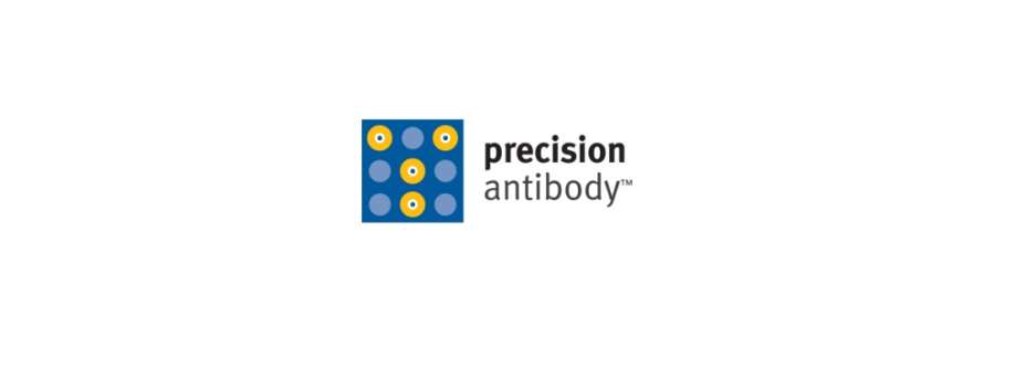 Precision Antibody Cover Image