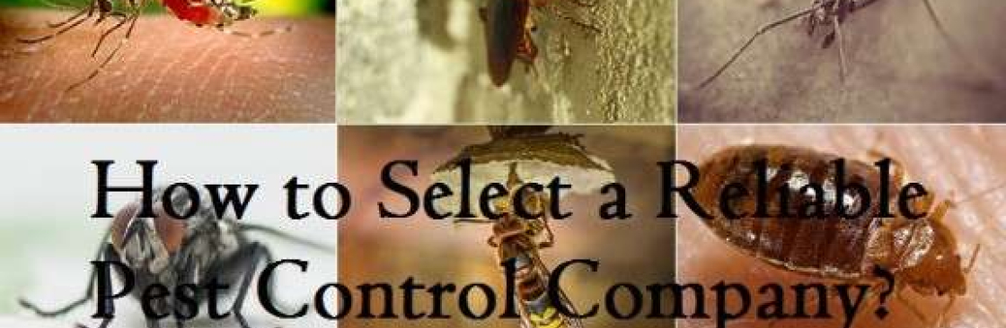 Enviro Safe Pest Control Cover Image