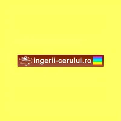 ingeriicerului Profile Picture