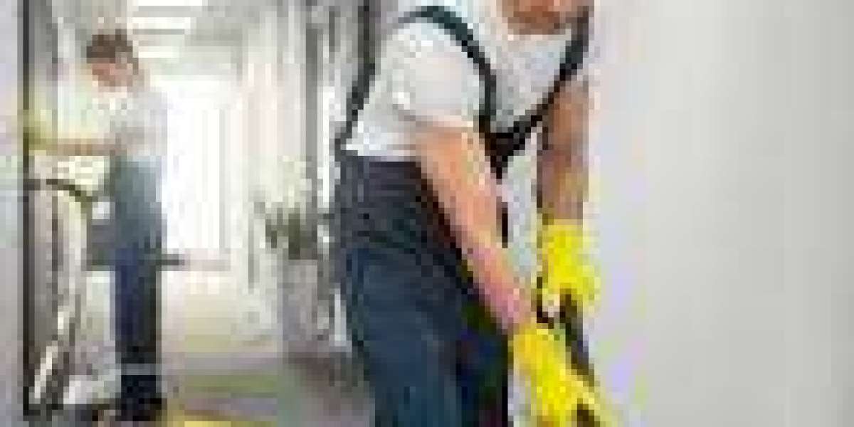 The Link Between Carpet Cleaning and Improved Home Comfort