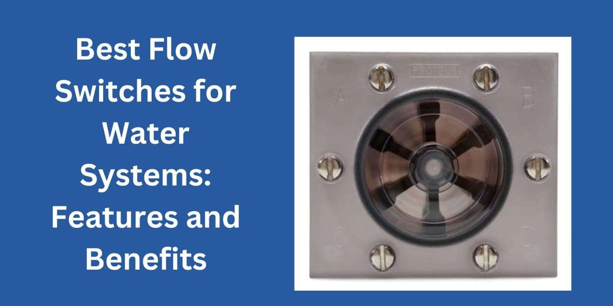 Best Flow Switches for Water Systems: Features and Benefits