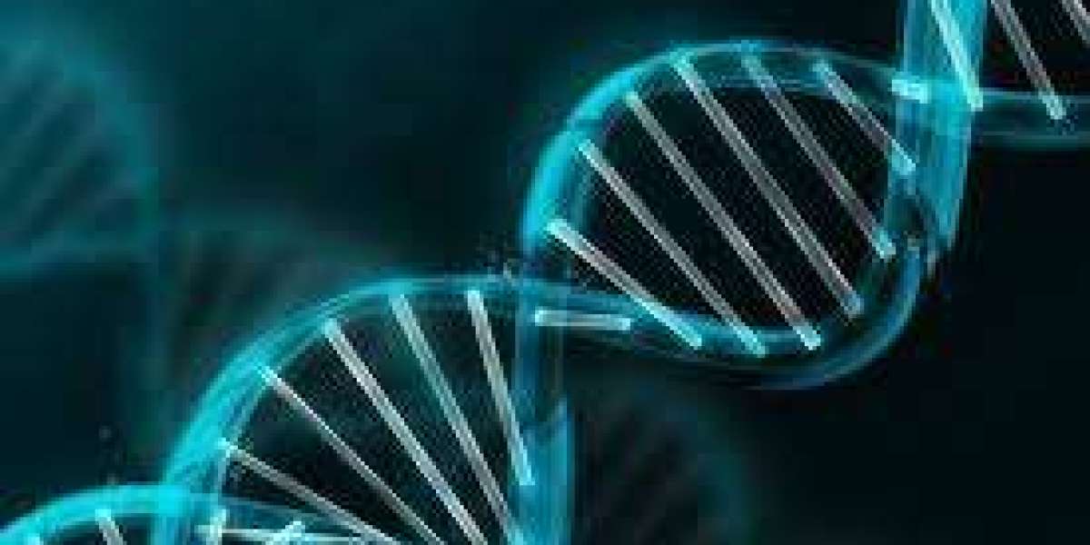 Next Generation Sequencing (NGS) Market Size And Forecast Report 2024-2030