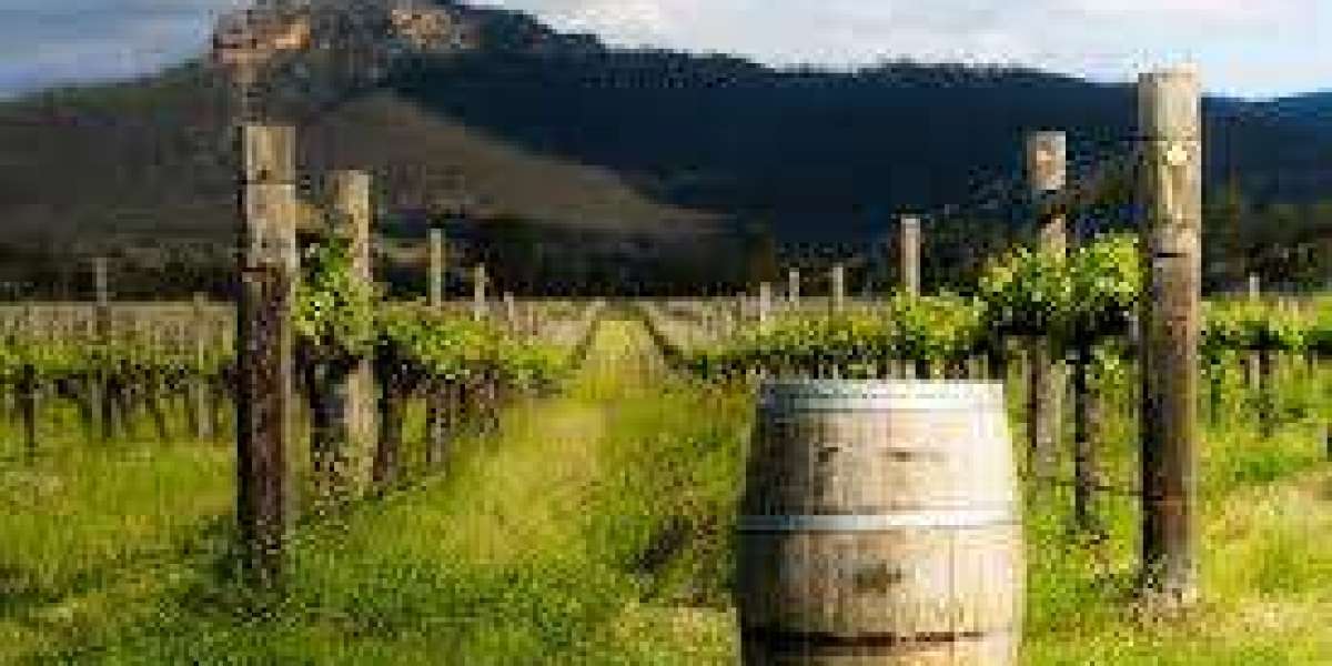 Discover Hunter Valley: Wine Tasting Like Never Before