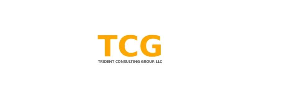 Trident Consulting Group Cover Image