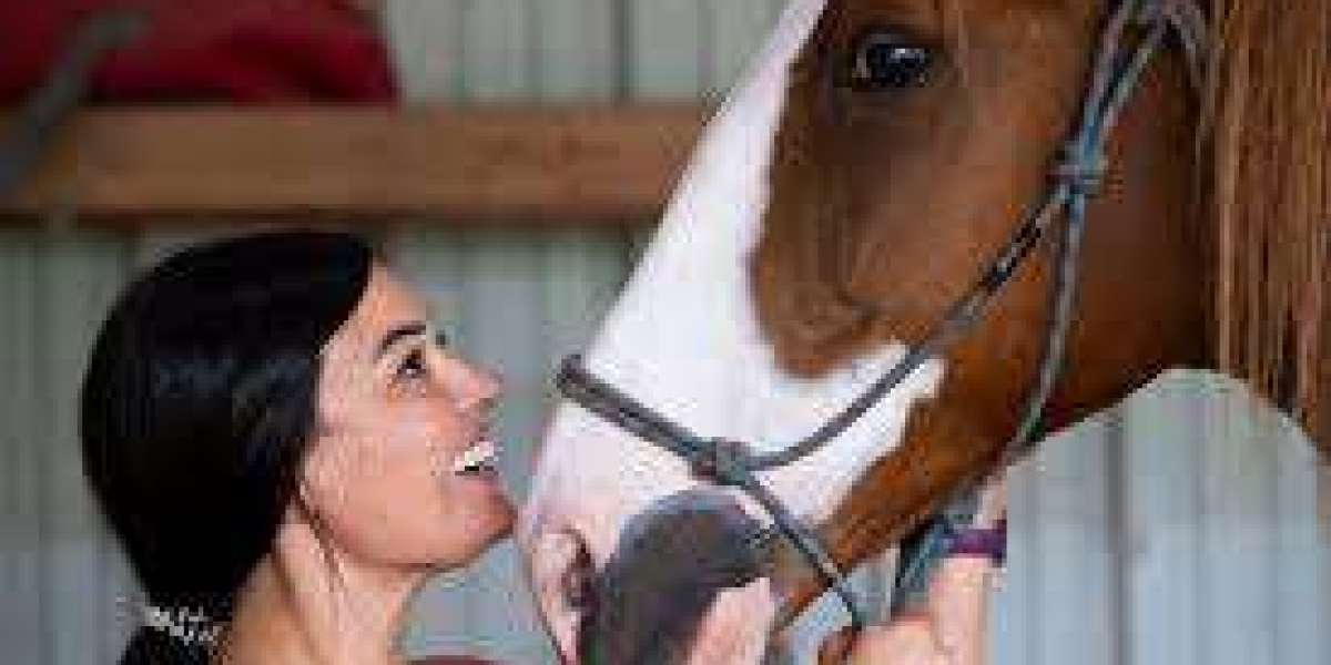 Pennsylvania Horse Rescue: A Safe Haven for Horses