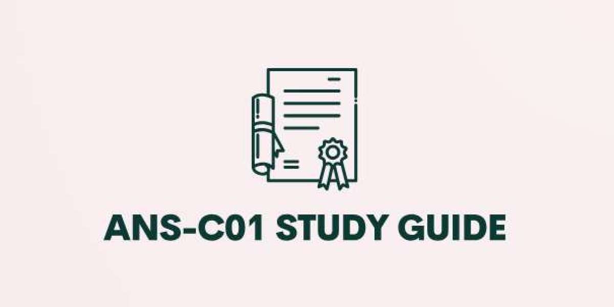 Top Strategies for Success in DumpsBoss’s ANS-C01 Study Guide.